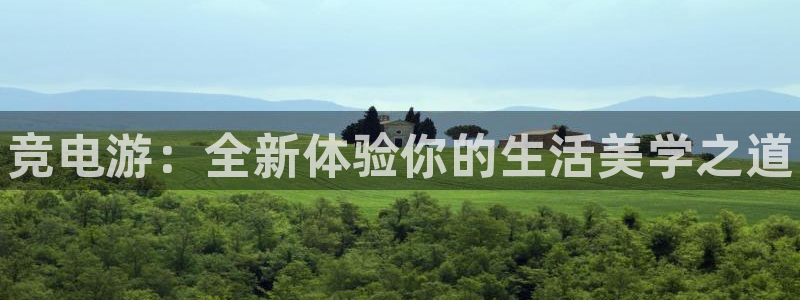 一竞技app：竞电游：全新体验你的生活美学之道