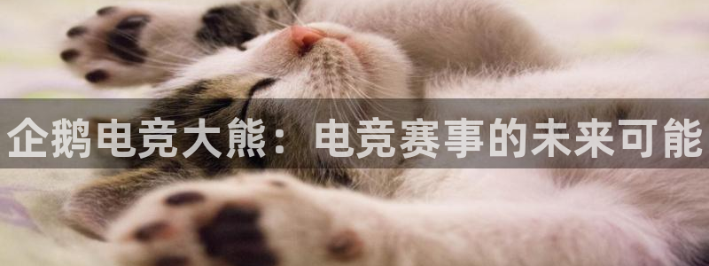 一竞技官网地址：企鹅电竞大熊：电竞赛事的未来可能