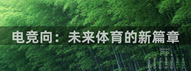 一竞技官网地址：电竞向：未来体育的新篇章