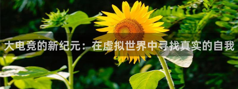 一竞技官网：大电竞的新纪元：在虚拟世界中寻找真实的自我