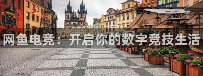 一竞技app下载安装：网鱼电竞：开启你的数字竞技生活