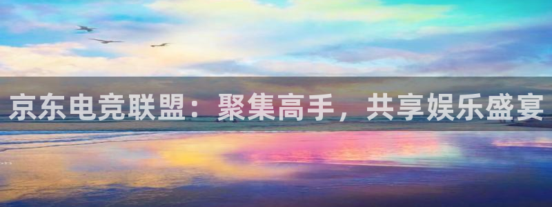 一竞技：京东电竞联盟：聚集高手，共享娱乐盛宴