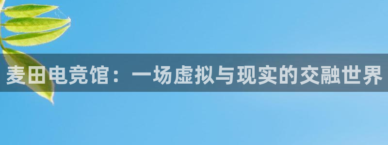 一竞技app下载：麦田电竞馆：一场虚拟与现实的交融世界