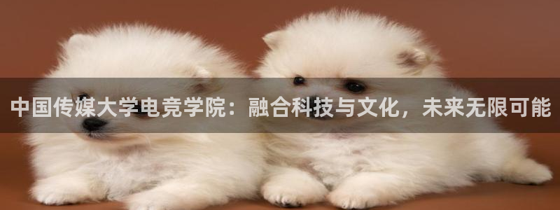 一竞技官网下载：中国传媒大学电竞学院：融合科技与文化，未来无限可能