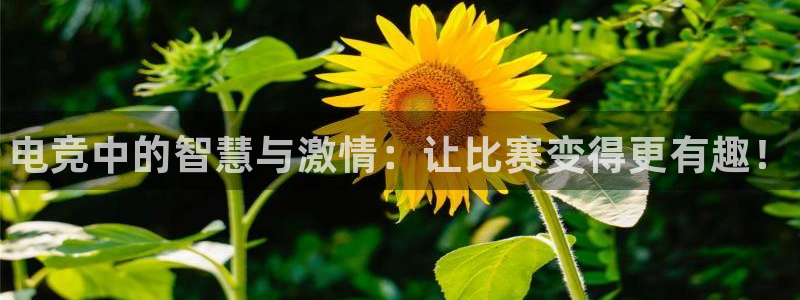 一竞技app：电竞中的智慧与激情：让比赛变得更有趣！