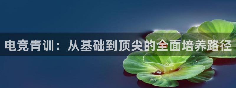 一竞技官网：电竞青训：从基础到顶尖的全面培养路径