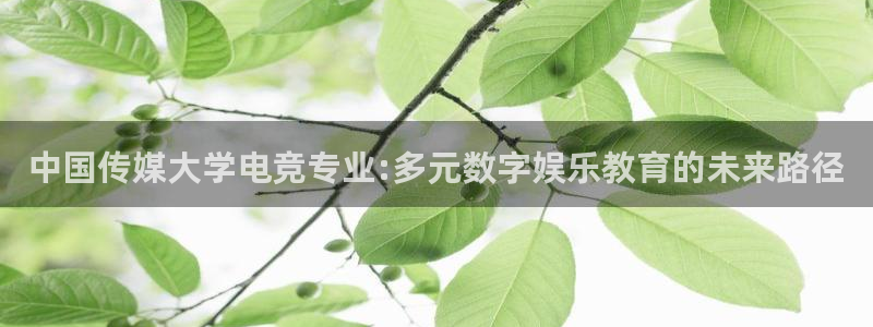一竞技app下载：中国传媒大学电竞专业:多元数字娱乐教育的未来路径