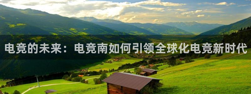 一竞技平台：电竞的未来：电竞南如何引领全球化电竞新时代