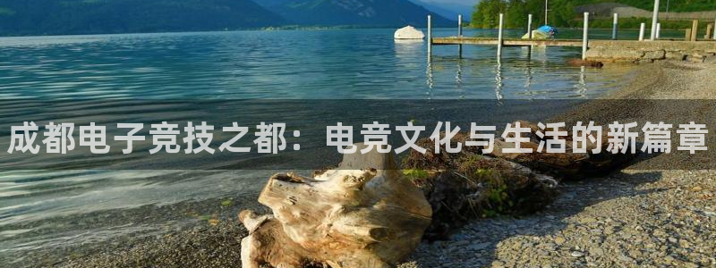 一竞技app：成都电子竞技之都：电竞文化与生活的新篇章