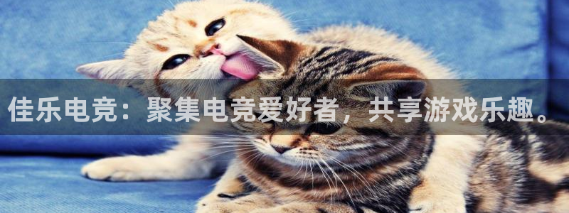 一竞技app下载安装：佳乐电竞：聚集电竞爱好者，共享游戏乐趣。