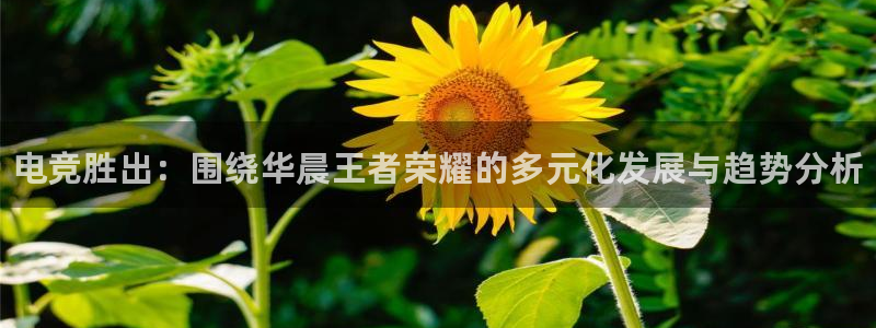 一竞技官网：电竞胜出：围绕华晨王者荣耀的多元化发展与趋势分析