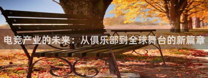 一竞技app：电竞产业的未来：从俱乐部到全球舞台的新篇章