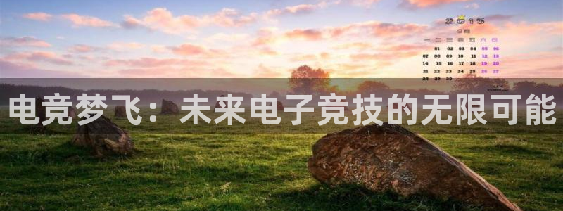 一竞技官网地址：电竞梦飞：未来电子竞技的无限可能