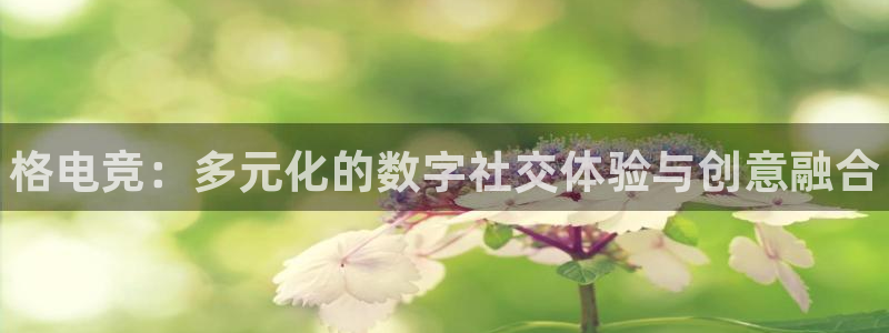 一竞技官网地址：格电竞：多元化的数字社交体验与创意融合