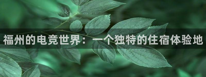 一竞技平台：福州的电竞世界：一个独特的住宿体验地