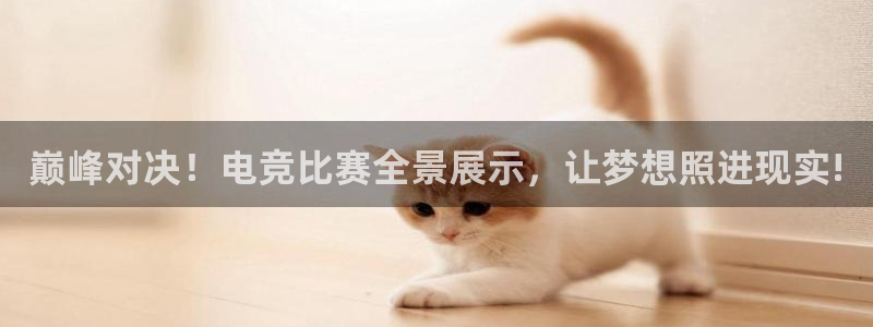 一竞技官网下载：巅峰对决！电竞比赛全景展示，让梦想照进现实!