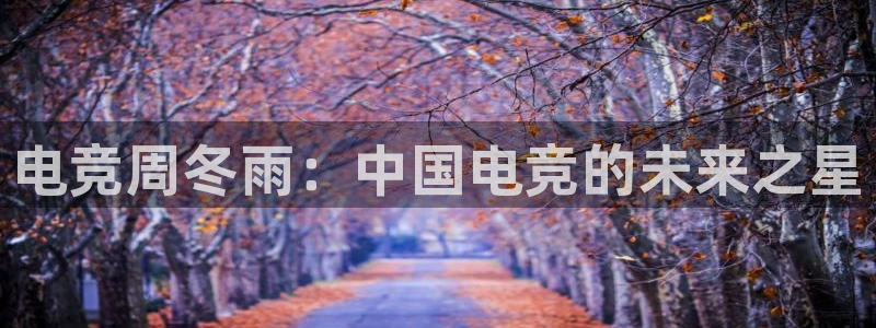 一竞技app下载：电竞周冬雨：中国电竞的未来之星
