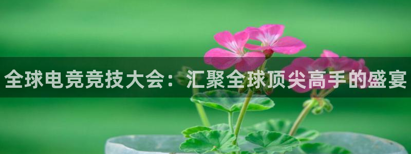 一竞技app：全球电竞竞技大会：汇聚全球顶尖高手的盛宴