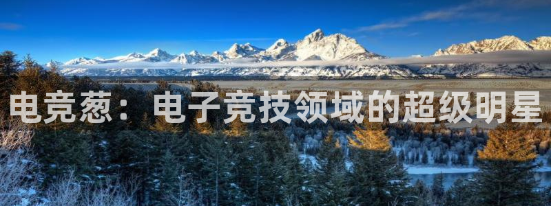 一竞技app下载：电竞葱：电子竞技领域的超级明星