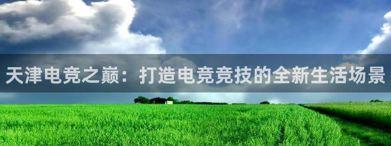 一竞技平台：天津电竞之巅：打造电竞竞技的全新生活场景
