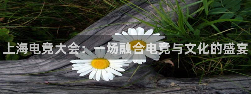 一竞技app下载：上海电竞大会：一场融合电竞与文化的盛宴