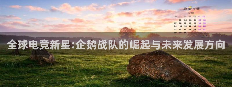 一竞技官网地址：全球电竞新星:企鹅战队的崛起与未来发展方向