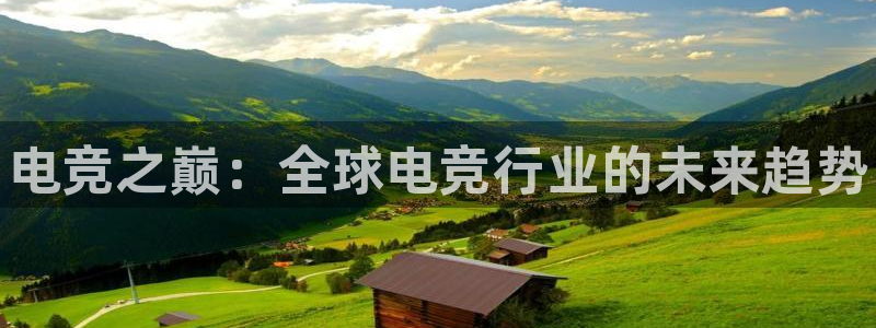 一竞技网址：电竞之巅：全球电竞行业的未来趋势