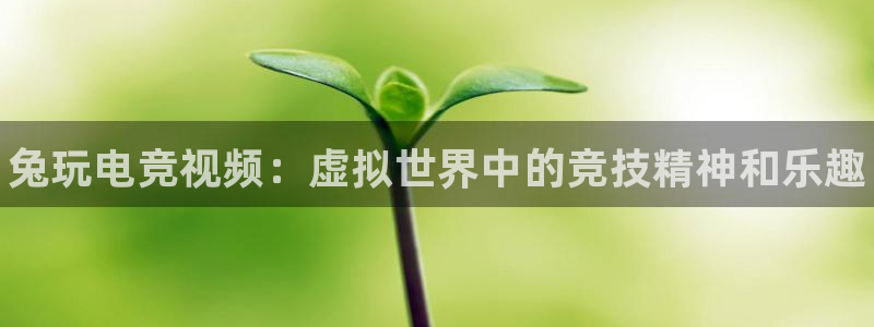 一竞技app下载：兔玩电竞视频：虚拟世界中的竞技精神和乐趣